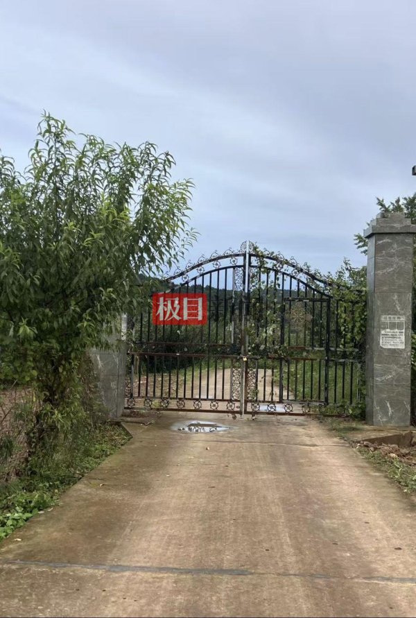 盈富优配 实探网红“唐飞机”坠机地：位于一片果园内，村民看直播发现坠机后前往灭火